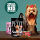 Free Sample of Petit Treats