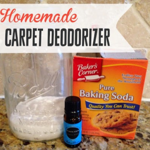 Homemade Carpet Deodorizer - Coupon Crazy Girl